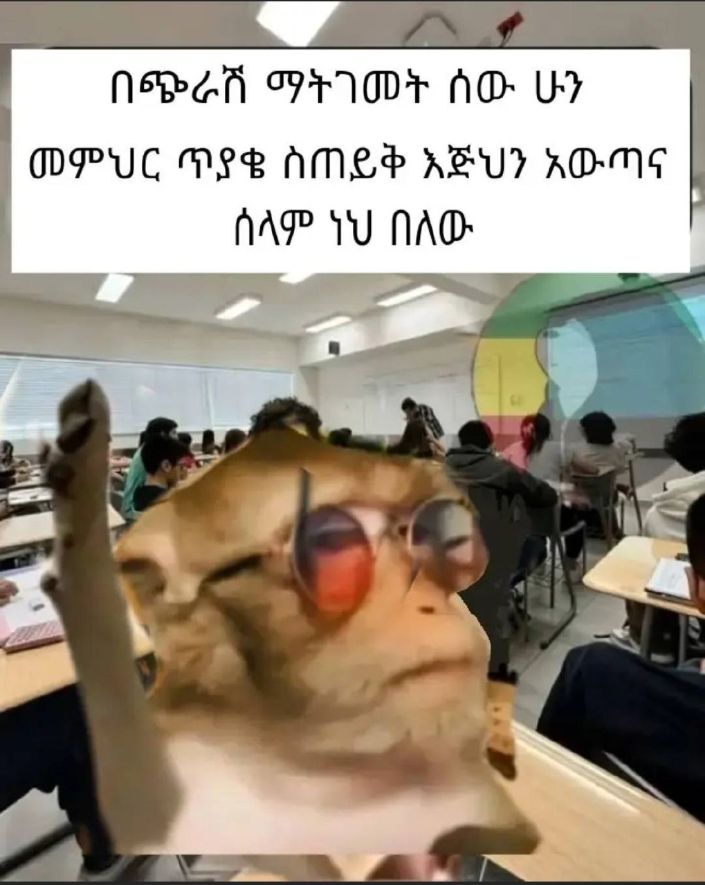 |. በጭራሽ ማትገመት ፣ ሰው ሁን | | መምህር ጥያቄ ስጠይቅ እጅህን አውጣና | ሰላም ነህ በለው | Neat opyODY t AD Ww | | DPUC MLS AML? ABU? AONE |. ! AA AU NAD: